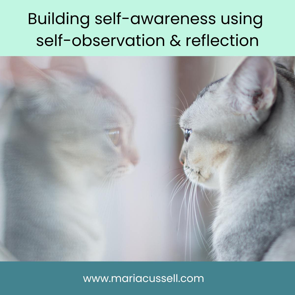 How to build self-awareness using self-observation and reflection